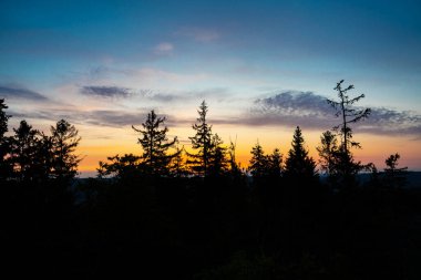 Ladin ormanının üzerinde güzel bir gün doğumu