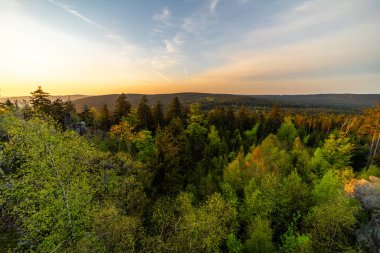 Gün doğumunda kayaların ve ormanın üzerine düşen güneş ışınları