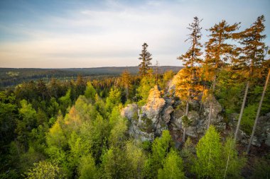 Gün doğumunda kayaların ve ormanın üzerine düşen güneş ışınları