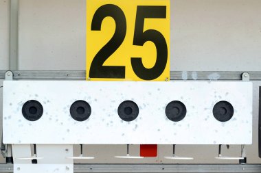 Biatlon. Tüfek çekim hedef spor .