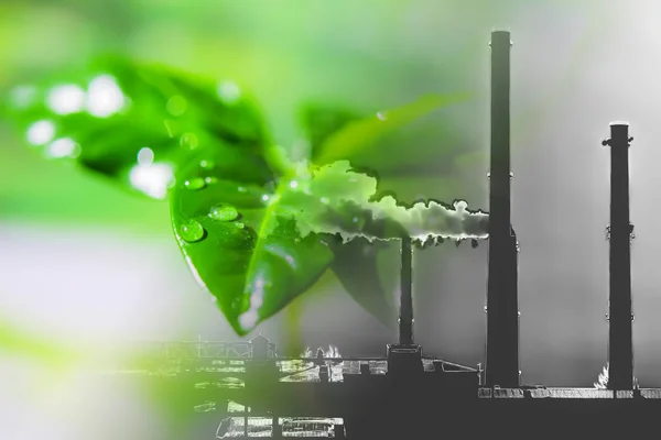 緑の植物の背景に産業工場の煙突 . — ストック写真