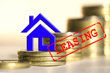 Leasing - pahalı mal satın aldığınızda borç verme biçimi