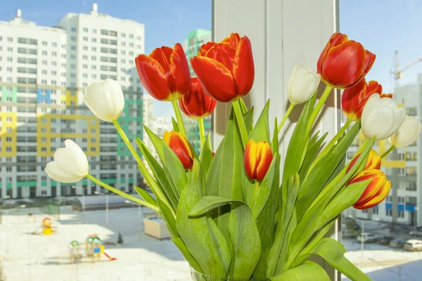 Букет тюльпанів на вікні нової квартири — стокове фото