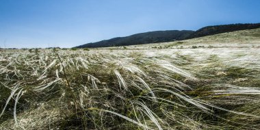 Manzara dağ bozkır . 
