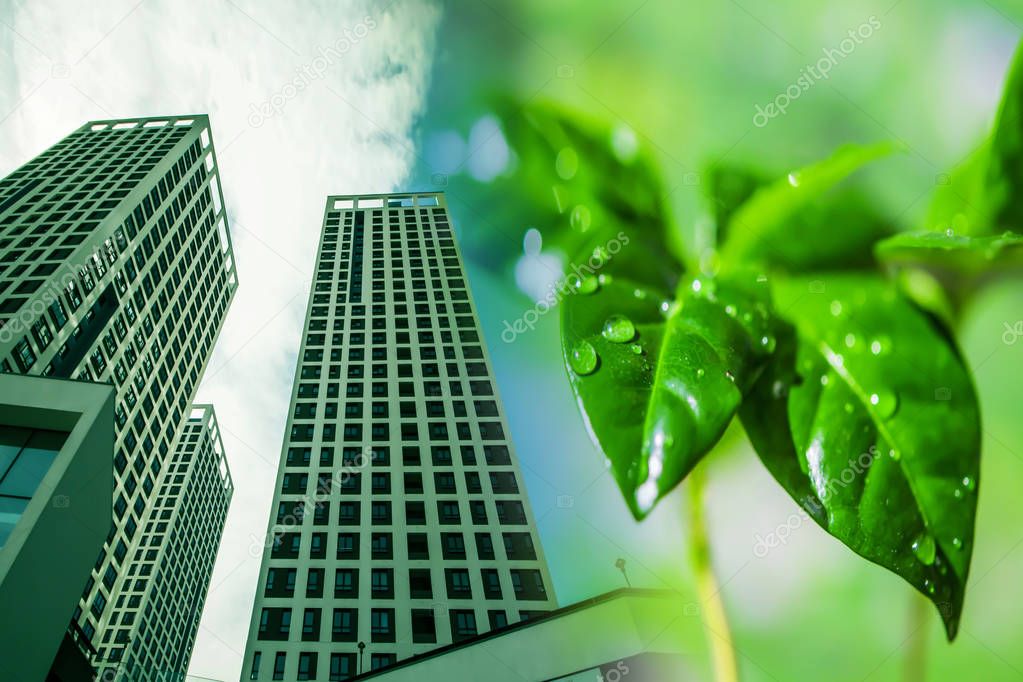 Modern skyscraper on a background of green plants . The concept of environmental clean construction .