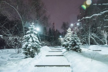 - Rusya. Yekaterinburg 'da. Kışları Kharitonovsky bahçesinde. Şehirde ikonik ünlü bir yer. .