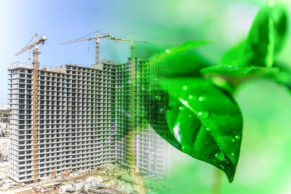 Folhas Verdes Fundo Construção Edifícios Residenciais Conceito Protecção Ambiente — Fotografia de Stock