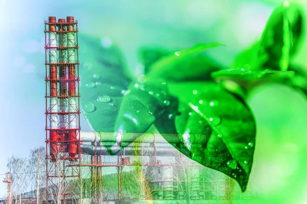 緑の植物の葉の背景に生産パイプ 環境保全の概念 ロイヤリティフリーのストック写真