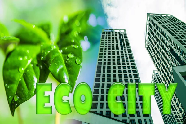 Símbolo Inmobiliario Sobre Fondo Planta Verde Concepto Construcción Ecológica — Foto de Stock