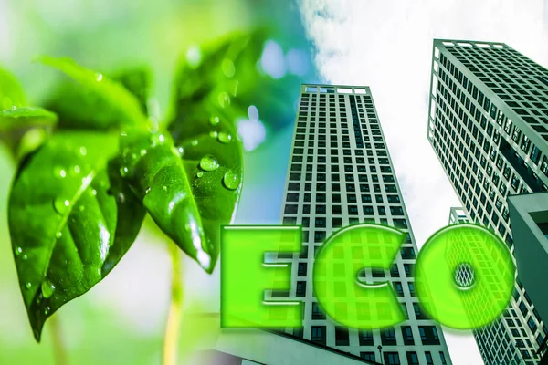 Real estate symbol on a green plant background . Concept of ecological construction .