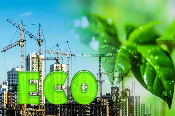 Símbolo Inmobiliario Sobre Fondo Planta Verde Concepto Construcción Ecológica —  Fotos de Stock