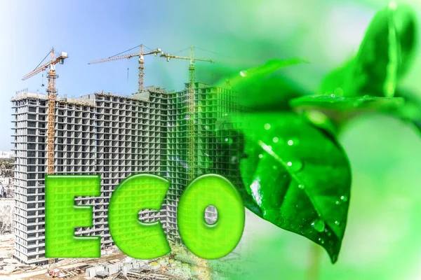 Simbolo Immobiliare Sfondo Vegetale Verde Concetto Costruzione Ecologica — Foto Stock