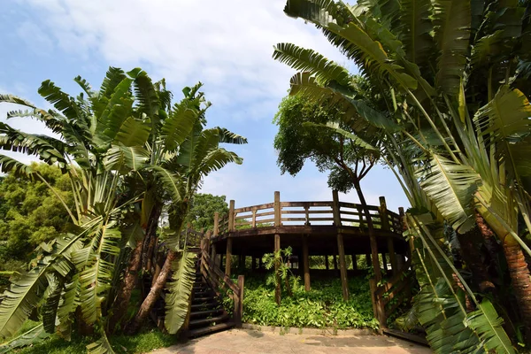 High Antique Wooden Viewing Platform Beautiful Natural Scenery — Stock Photo, Image