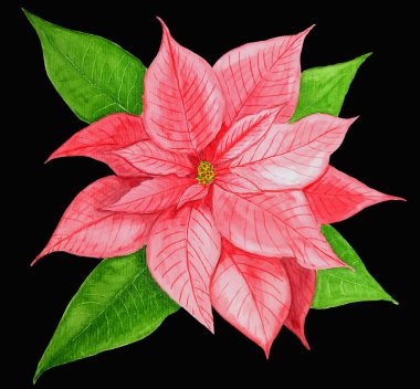  Kırmızı noktalama.