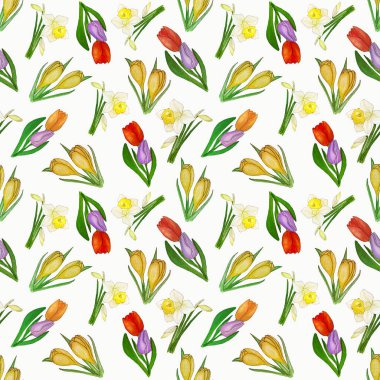 Narcissus, lale ve crocus desenli suluboya bahar çiçeği deseni