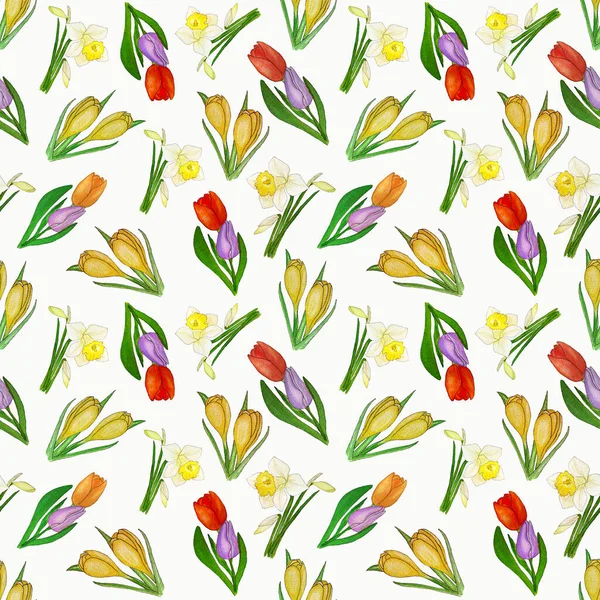 Watercolor Spring Floral Pattern Narcissus Tulip Crocus — Stock Photo, Image