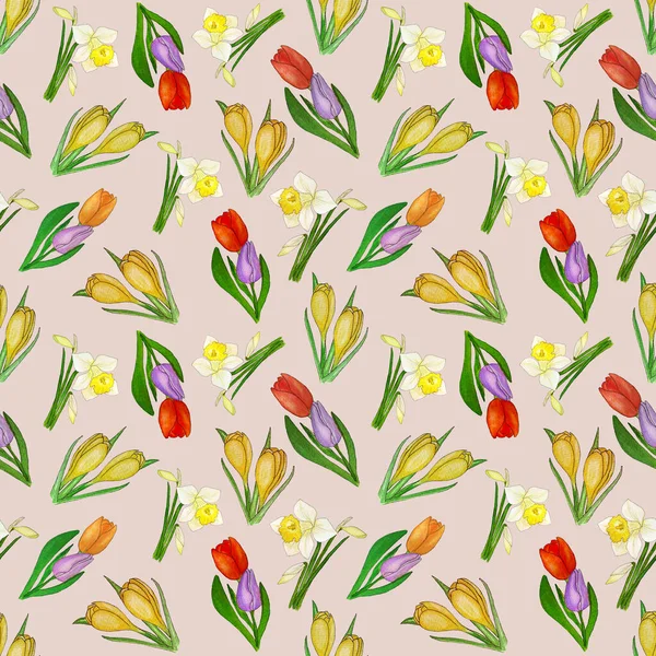 Watercolor Spring Floral Pattern Narcissus Tulip Crocus — Stock Photo, Image
