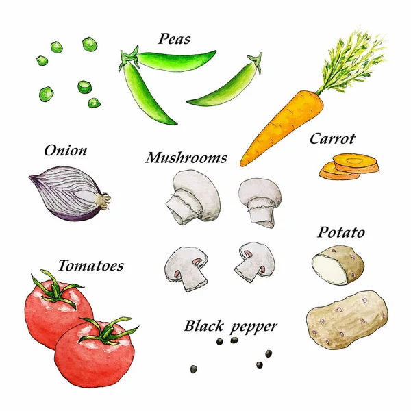 Olika Akvarell Ingredienser För Veganska Soppor Isolerad Bakgrund Meny — Stockfoto