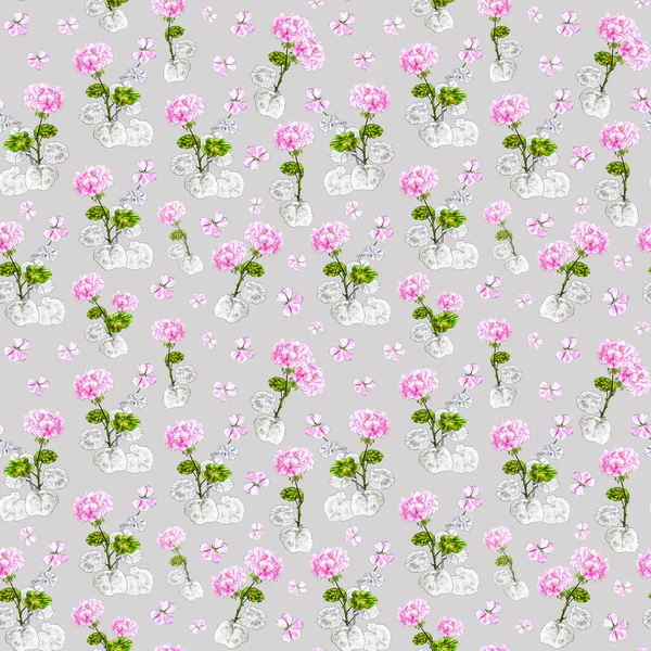 Seamless Color Geranium Sketch Pattern Pink Flower Print Fabric Paper — Stock Photo, Image
