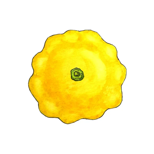 Υδατογραφία Κίτρινο Κολοκυθάκι Κολοκυθάκι Κολοκυθάκι Vegan Τροφίμων Μενού — Φωτογραφία Αρχείου