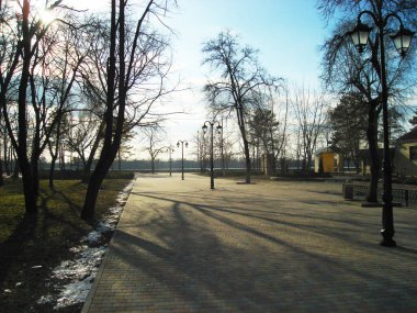 Şehir Parkı kültür