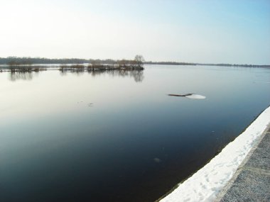 kedi doğada ev yapımı.