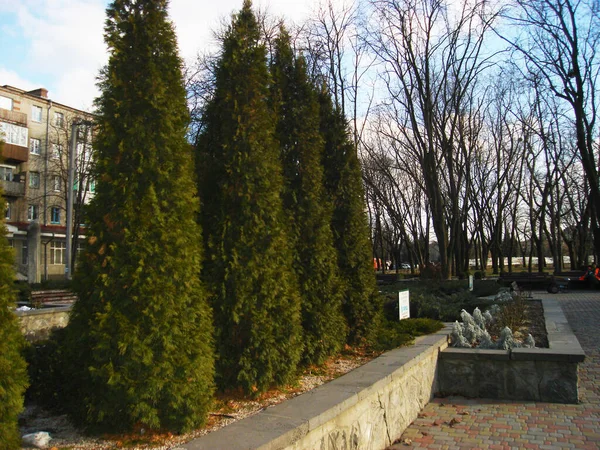 Stadspark van cultuur — Stockfoto