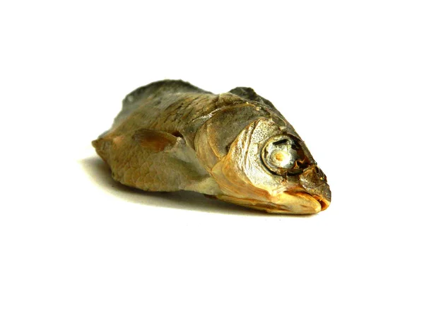 Fisch isoliert auf weißem Hintergrund — Stockfoto