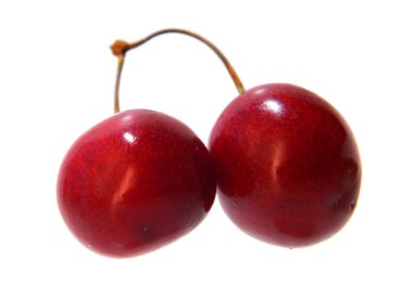 Beyaz arkaplanda kiraz izole