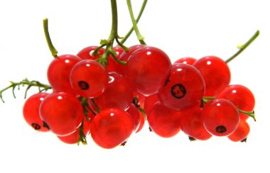 Beyaz arka plan üzerinde izole kartopu