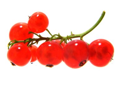 Beyaz arka plan üzerinde izole kartopu