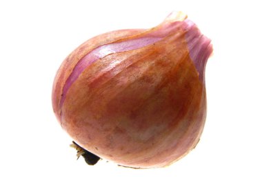 Beyaz arkaplanda soğan izole edildi