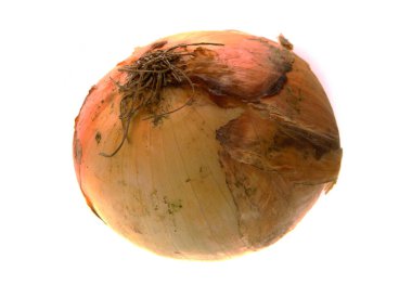 Beyaz arkaplanda soğan izole edildi