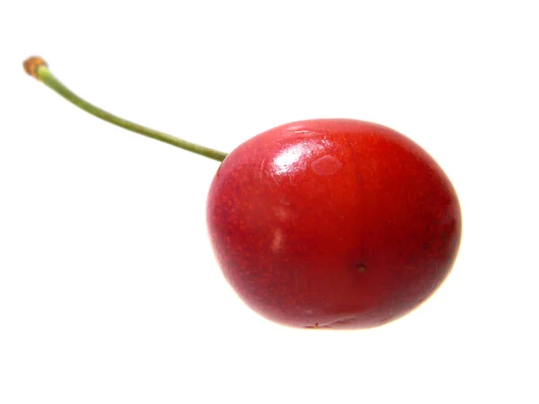 Cherry isolated on white background — Stock Photo, Image