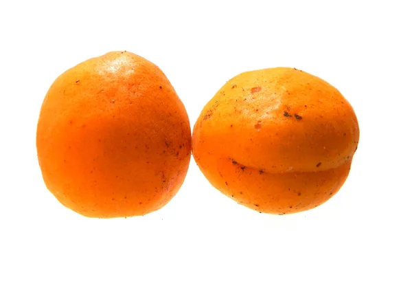 Aprikose isoliert auf weißem Hintergrund — Stockfoto