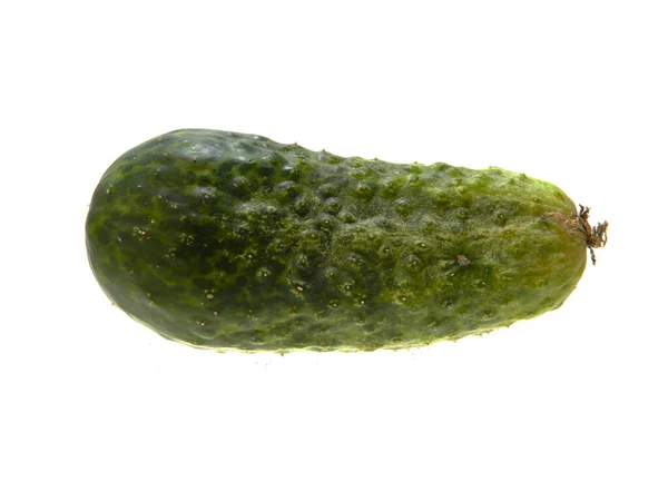 Cucumber isolated on white background — Stock Photo, Image