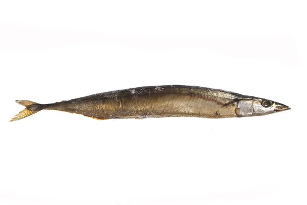Ikan asap diisolasi pada latar belakang putih — Stok Foto
