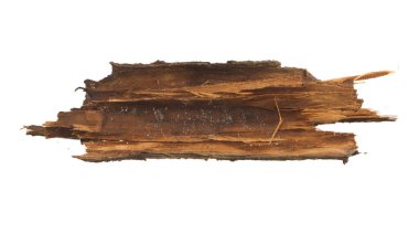 Beyaz arkaplanda ağaç kabuğu izole