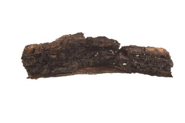 Beyaz arkaplanda ağaç kabuğu izole