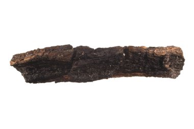 Beyaz arkaplanda ağaç kabuğu izole