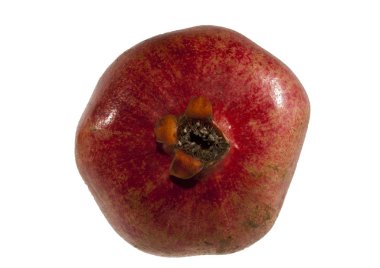 Beyaz arkaplanda izole edilmiş nar