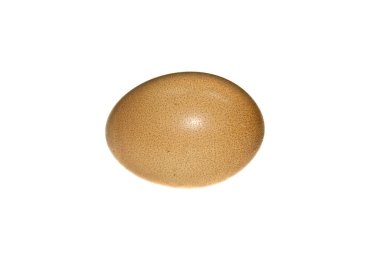 Beyaz arkaplanda yumurta izole