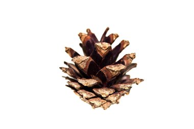 Beyaz arkaplanda koni izole edildi