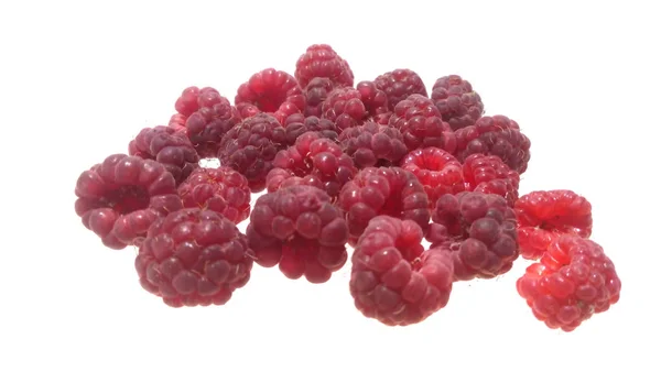 Raspberry diisolasi pada latar belakang putih — Stok Foto