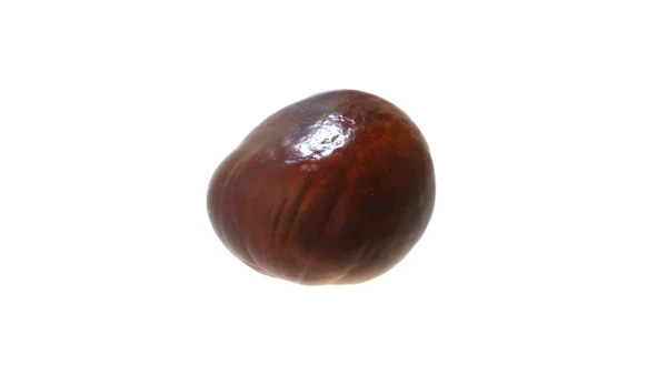 Chestnut isolated on white background — Stock Photo, Image