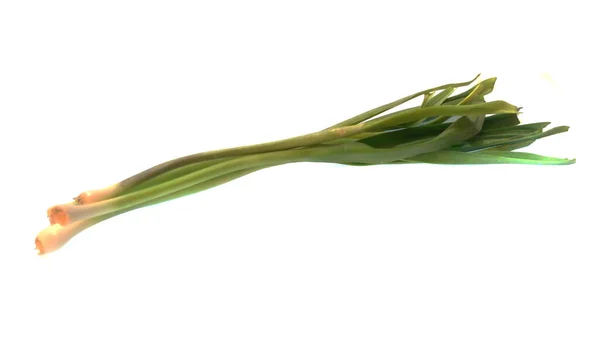 Cipolla verde isolata su fondo bianco — Foto Stock