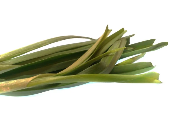 Green onion isolated on white background — Stock Photo, Image