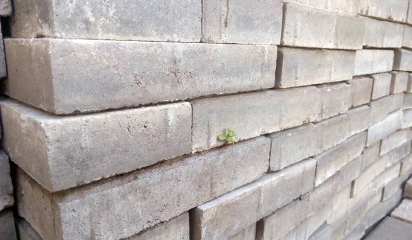 A pack of new bricks as a background — 스톡 사진
