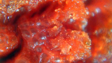 Kırmızı biber. Taze doğranmış.