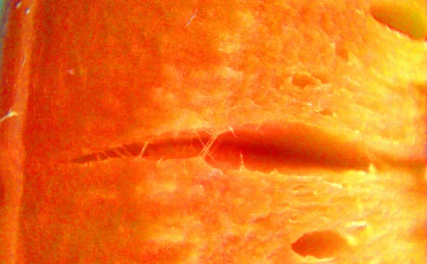 Czerwona marchewka o dużym powiększeniu — Zdjęcie stockowe